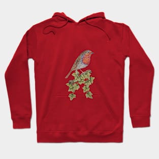 bird illustration of ivy leafs and cute robin Hoodie